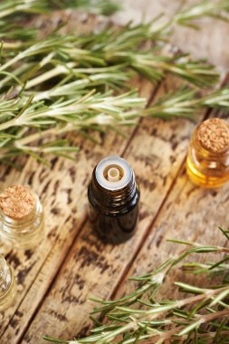 Taze biberiye bitkisiyle birlikte bir şişe aromaterapi yağı.