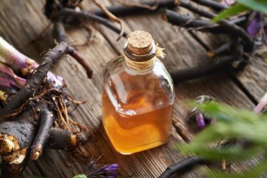 Taze örgü kemikli bitkisel bir tentür şişesi ya da ahşap bir masada kuş kökü.