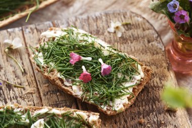 Bir dilim ekşi ekmek ve karga sarımsak ya da soğan otu. Bahar başında hasat edilen vahşi bir yenilebilir bitki.