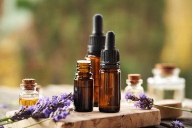 Aromaterapi şişeleri açık havada taze açan lavanta bitkisi ile gerekli yağ.