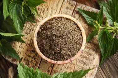 Taze Urtica dioica yapraklarıyla dolu bir kasede ısırgan otu tohumları.