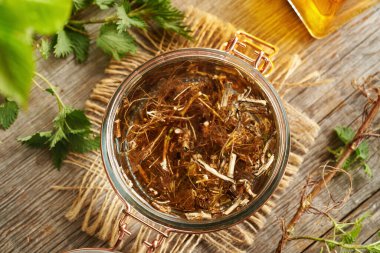 Isırgan kökü ve rizomdan ev yapımı bitkisel tentürlerin hazırlanması.