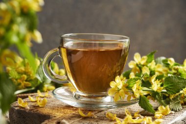 Taze çiçek açan sarı başmelek ya da altın ölü ısırgan otlu bitki çayı.