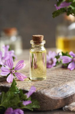 Şeffaf bir şişe aromaterapi esaslı yağ ve taze mallow çiçekleri.