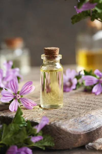 Şeffaf bir şişe aromaterapi esaslı yağ ve taze mallow çiçekleri.