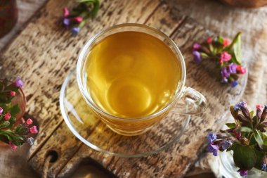 Baharın başında toplanmış taze akciğer otu ya da pulmonarya çiçekli bir fincan bitki çayı. Vahşi, yenilebilir bitki..