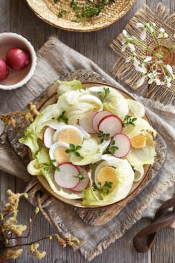 Tavuk otlu taze sebze salatası. Baharın başında hasat edilen yabani yenilebilir bitki.