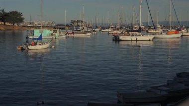 Monterey California 'da sakin bir körfezde, yumuşak yansımaları ve mavi sularıyla berrak gökyüzünün altında yüzen tekneler.