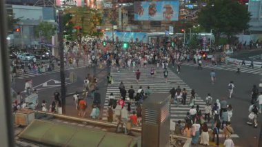 23 Ağustos 2023 'te Shibuya Geçidi' nde akşam koşuşturması
