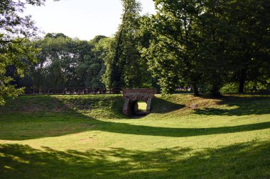 Yaz güneşinde ağaçlı yeşil bir park çimenliği