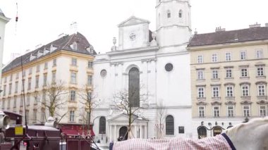 20 Ocak 2025 'te Michaelerplatz Viyana' da fiaker 'ın yanındaki kareli kapakta atın yakın çekimi.