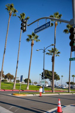 11 Kasım 2025 'te Long Beach California' da Shoreline Yolu üzerindeki palmiye ağaçları ve sokak tabelaları