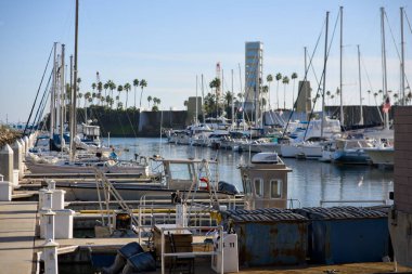 Rıhtımlı tekneleri ve yatları olan liman, modern binaları ve palmiye ağaçları olan liman manzarası, Kaliforniya, ABD