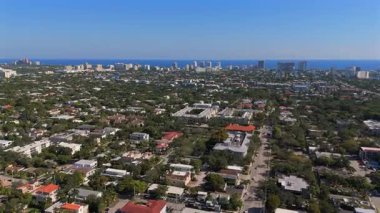 Fort Lauderdale Florida 'da ağaçlar okyanus ufkuna doğru ilerliyor.