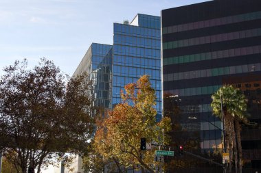 San Jose California 'da modern cam ofis binaları ve sonbahar ağaçları