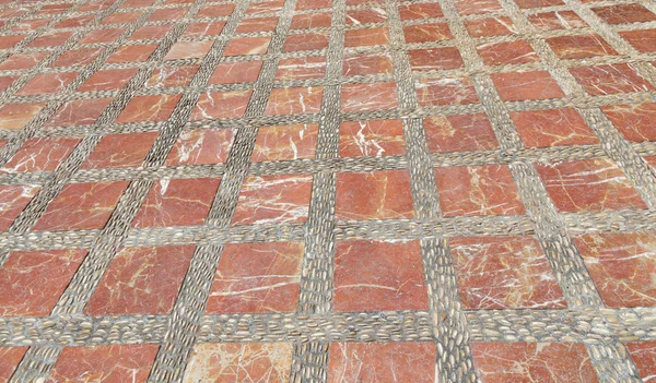 Essex kırsal ağacında