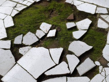 Bahçede çatlamış toprak