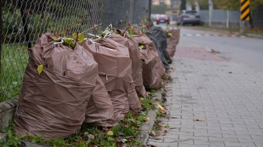 Bahçe atıklarıyla dolu çantalar belediye tahsilatına hazır bir sokakta kaldırım kenarında duruyor. Düşen yapraklar, dallar ve ayrıştırılabilir atıklarla mevsimsel temizlik sahnesi. Kullanışlı