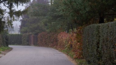 Bulutlu bir günde huzurlu banliyö caddesi budanmış çitlerle ve sonbahar renklerinde bitkilerle dolu. Bu sakin yerleşim yeri, banliyö yaşamını, emlak mahallelerini, açık havayı resmetmek için idealdir.
