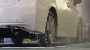 Yüksek basınçlı su, otomatik veya profesyonel araba yıkama sırasında arabadan köpüğü temizler. Video, akan su ve deterjanın yüzeyden çıkarıldığı araç temizleme sürecini gösterir. Uygun.