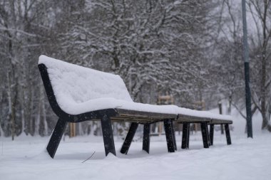Aktif kar yağışı sırasında sessiz bir kış parkında taze karla kaplı sıra sıra boş park bankları. Kış yalnızlığı, soğuk mevsim, kentsel doğa ve sert havalarda huzurlu açık hava manzarası kavramı.