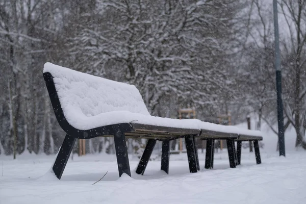 Aktif kar yağışı sırasında sessiz bir kış parkında taze karla kaplı sıra sıra boş park bankları. Kış yalnızlığı, soğuk mevsim, kentsel doğa ve sert havalarda huzurlu açık hava manzarası kavramı.