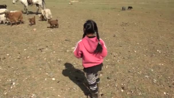 Μογγολικό κορίτσι - βοσκός. — Αρχείο Βίντεο