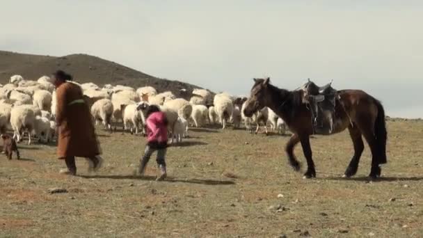 Pastori: una donna, una ragazza. Cavallo — Video Stock