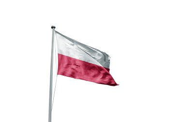 Poland 3d bayrak direğinde bayrak sallıyor