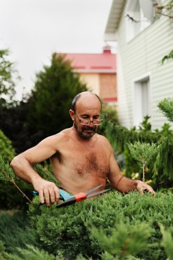 Adam bahçıvan makası el sanat kesme ardıç yapma ile.