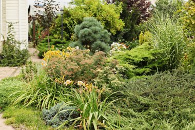 Peyzaj tasarımının ayrıntılarını 