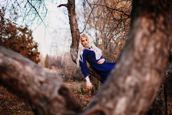 Una mujer vestida con un vestido vintage azul se sienta en la rama — Foto de Stock