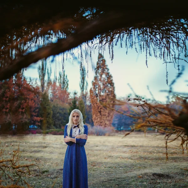 Жінка, одягнена в синю вінтажну сукню, залишається в осінньому парку — стокове фото