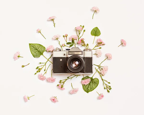 Vintage retro photo camera, pink roses and Brunnera leaves — Stock Photo, Image