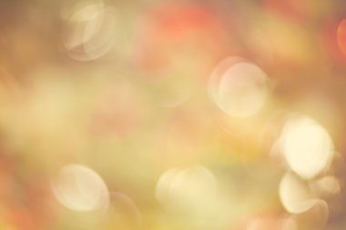 Tatil kavramı, ışık parlaklık doğal arka planını yeşillik.