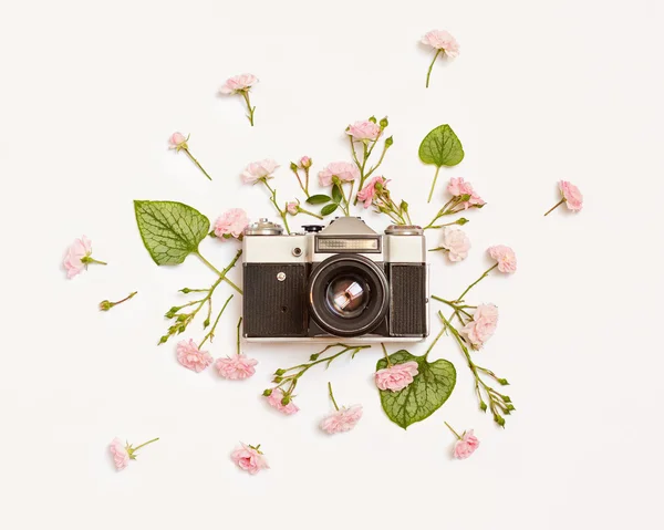 Vintage cámara de fotos retro, rosas rosadas y hojas de Brunnera —  Fotos de Stock
