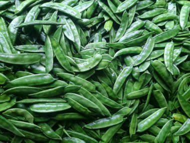 Taze yeşil edamame fasulyeleri, sağlıklı beslenme düzenleri ve Asya mutfağında popüler protein zengini gösteriliyor.