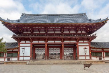 Japonya 'nın Nara kentindeki Kofuku-Ji Budist tapınağında bulunan dev ahşap geleneksel Japon tapınak binası. Fotoğraf bulutlu bir günde çekildi.. 