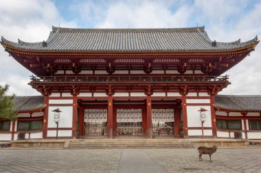 Japonya 'nın Nara kentindeki Kofuku-Ji Budist tapınağında bulunan dev ahşap geleneksel Japon tapınak binası. Fotoğraf bulutlu bir günde çekildi.. 
