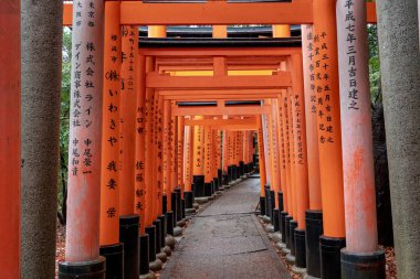 Kırmızı geleneksel Japon tapınağı torii Japonya 'nın Kyoto kentindeki Fushimi Inari Tapınağı' nda mimari kapılar açıyor.