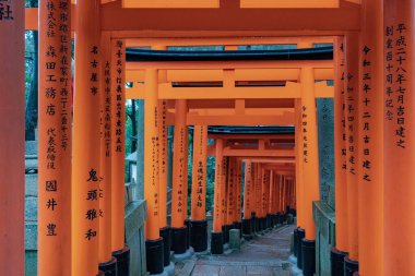 Kırmızı geleneksel Japon tapınağı torii Japonya 'nın Kyoto kentindeki Fushimi Inari Tapınağı' nda mimari kapılar açıyor.