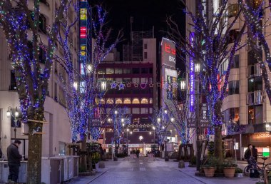 Shinjuku Japonya 'sında bulunan parlak renkli neon reklam panoları ve tabelalar. Fotoğraf akşamleyin çekildi.