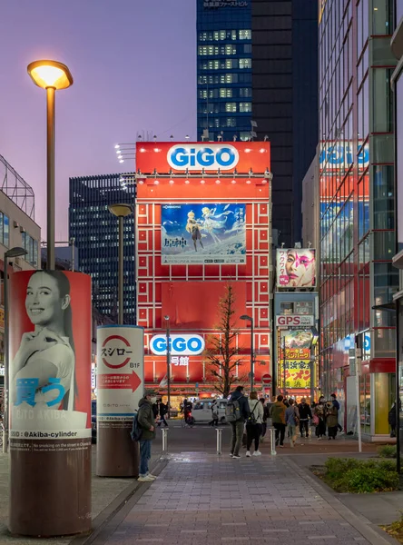 Tokyo 'nun Akihabara bölgesindeki renkli oyun binaları. Fotoğraf, mavi saat akşamı mor bir günbatımında çekildi.