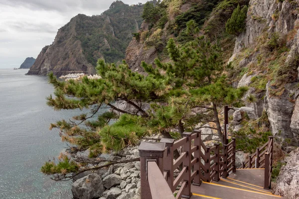 Güney Kore 'nin Ulleungdo Adası' ndaki kayalık sahil şeritleri ve mavi okyanus suları boyunca patika izleri.