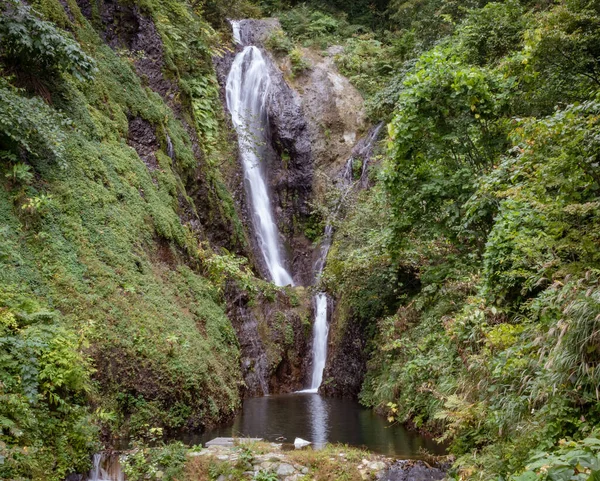 Bongnae Şelalesi Güney Kore Ulleungdo 'nun yemyeşil ormanlarında ve dağ yamacında yer almaktadır.
