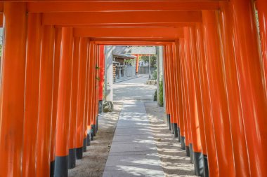 Fukuoka, Japonya 'daki Kushida Tapınağı' nın turuncu torii kapıları. Fotoğraf güneşli bir günde çekildi.
