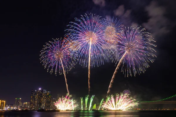 Gece gökyüzünde parlak, renkli havai fişekler. Fotoğraf Busan, Güney Kore 'de çekildi.