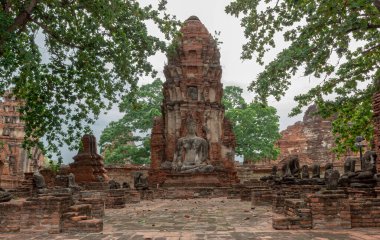 Kırmızı tuğla ve taş tapınak, Ayutthaya 'daki ağaçlar boyunca uzanan tarihi park Wat Maha' nın pagoda kompleksini ve Budist Buda heykelini yıkıyor.