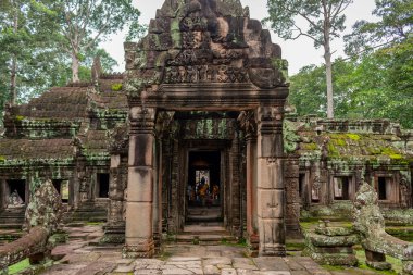 Ta Prohm Tomb Raider tapınağının yeşil ormanındaki yeşil yosun kaplı taş bina. Angkor Wat tarihi mekanı, Siem Reap, Kamboçya