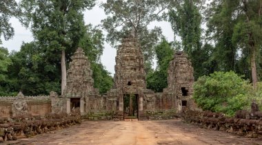 Yosun, Angkor Wat tarihi yeri Siem Reap Kamboçya 'nın yemyeşil ormanındaki Preah Khan Tapınağı' nın dış tasarımı olan taştan giriş kapısını kaplamıştı.